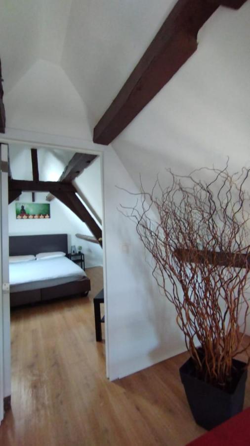 شقة The 16Th Century Duplex In The City Center أنتويرب المظهر الخارجي الصورة
