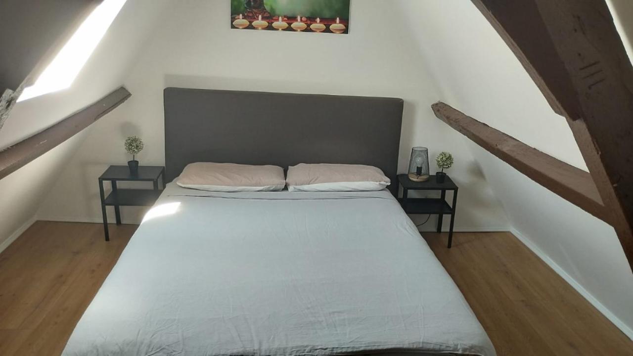 شقة The 16Th Century Duplex In The City Center أنتويرب المظهر الخارجي الصورة